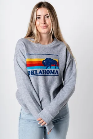 Bison colorful lines sweatshirt grey