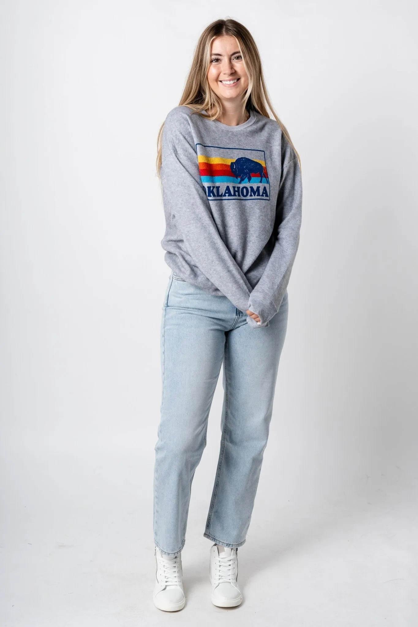 Bison colorful lines sweatshirt grey