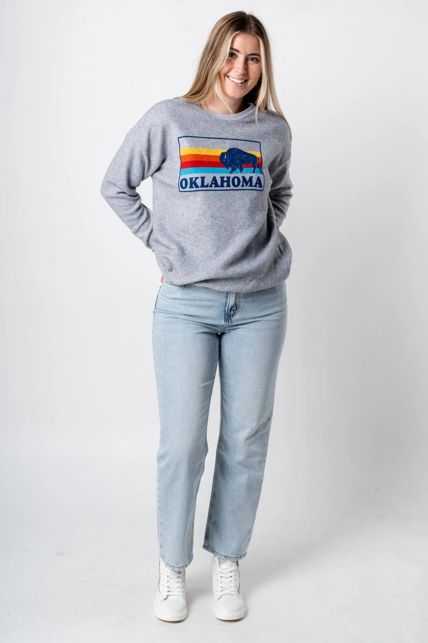 Bison colorful lines sweatshirt grey