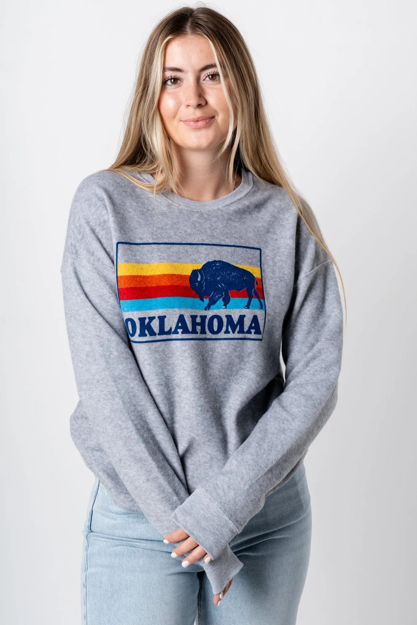 Bison colorful lines sweatshirt grey